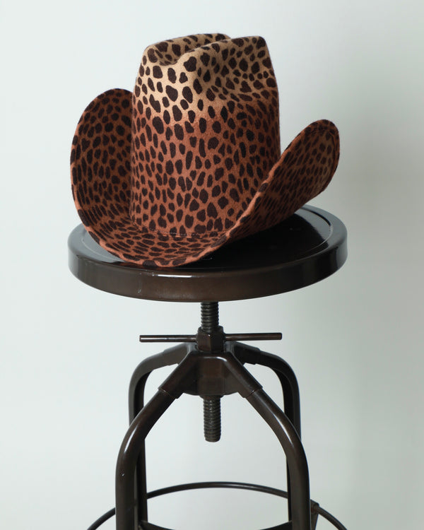 BIG WIDE WING WESTERN HAT