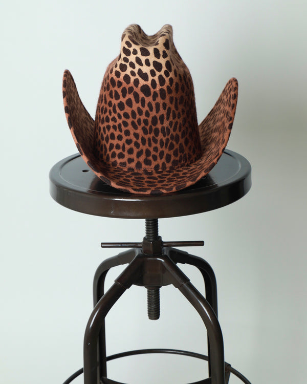 BIG WIDE WING WESTERN HAT